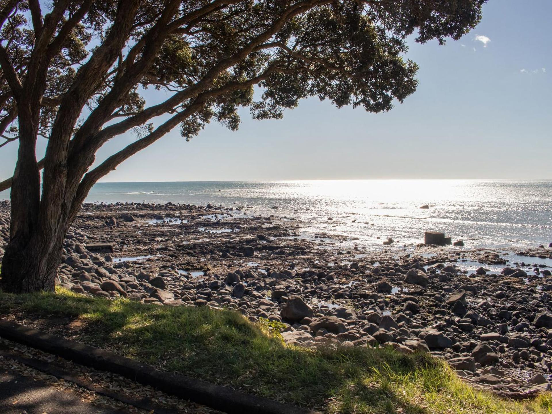 The Coastal Cottage Central City Location New Plymouth Exteriör bild